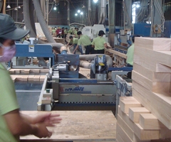 Khử trùng Pallet gỗ thùng gỗ theo tiêu chuẩn ISPM 15