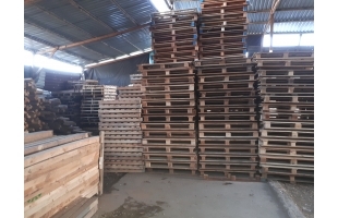 Pallet gỗ 1000x 1200x120mm