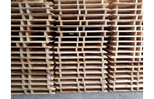 Pallet gỗ 1100x1300x120mm