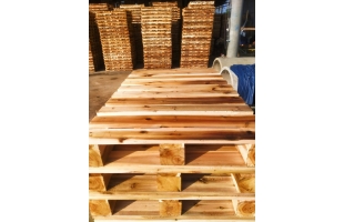 Pallet gỗ tràm mới 800x1200