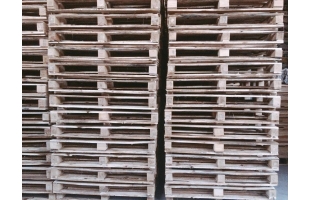 pallet gỗ tràm 